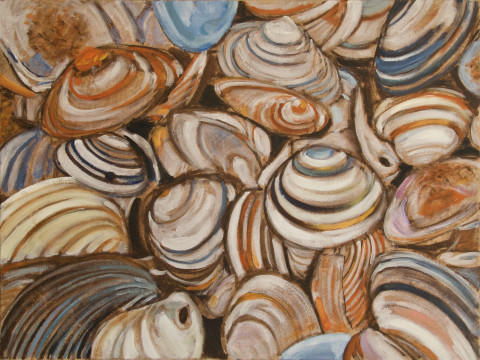 Ws schelp1